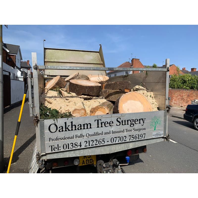 Oakham Tree Surgery Logo