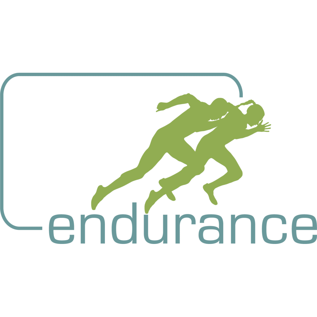 endurance Logo