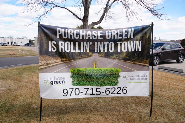 Images Purchase Green Artificial Grass
