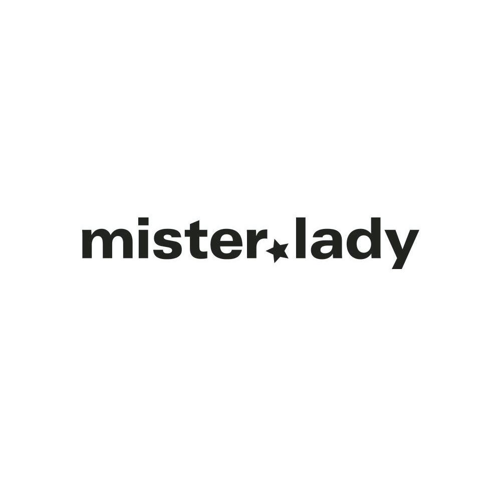 Logo mister*lady