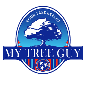 My Tree Guy
