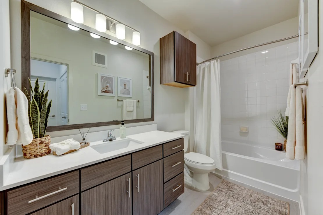 Double Sink Vanity 