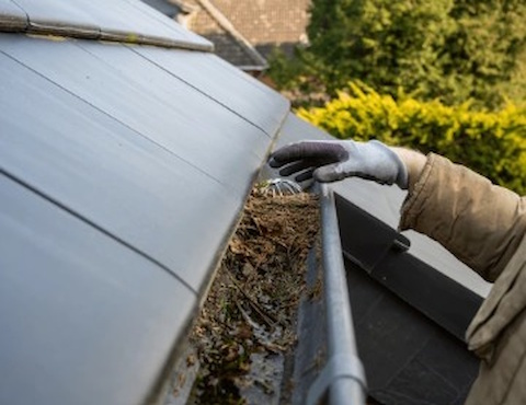 Tidy Guy Home and Garden Maintenance 4