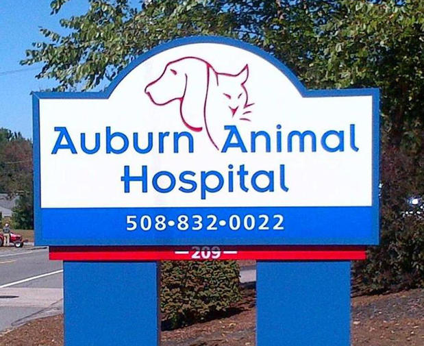 Images VCA Auburn Animal Hospital