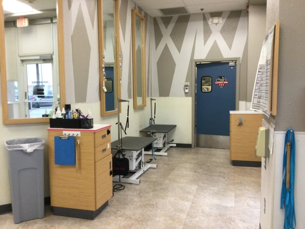 Images Petco Grooming