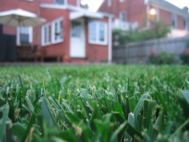 Images Stokes Mosquito and Pest Services