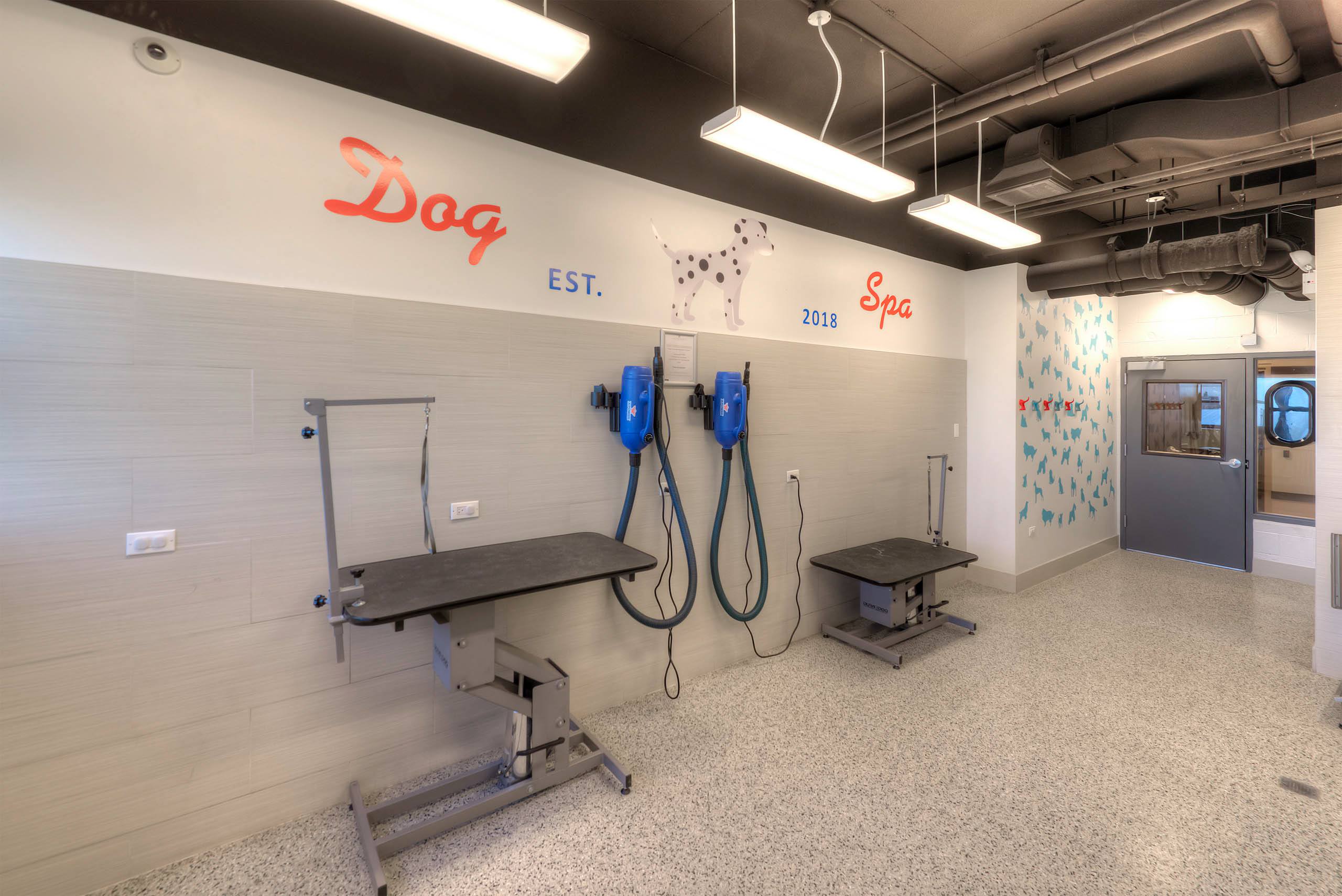 Dog spa with grooming tables and bathing stations 