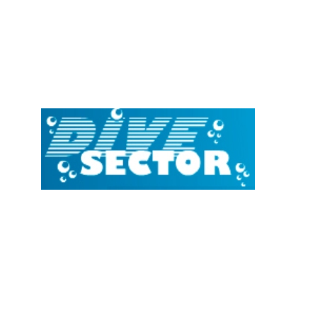 DIVE SECTOR Logo