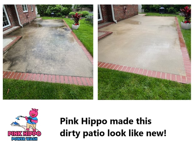 Images Pink Hippo Power Wash
