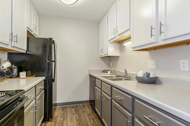 Images ReNew Madison Apartments
