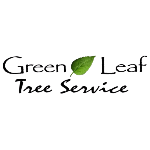 Green Leaf Tree Service Logo