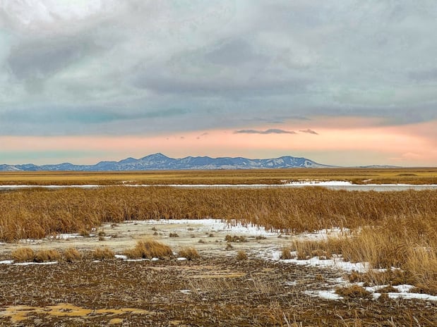 Images Staybridge Suites Great Falls by IHG