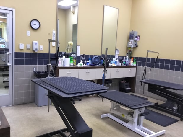 Images Petco Grooming