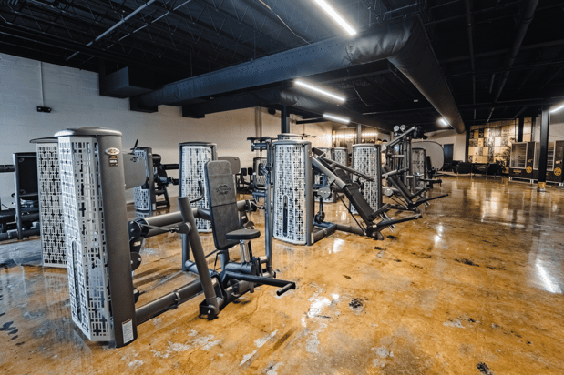 Images Gold's Gym Tampa (Gas Worx)
