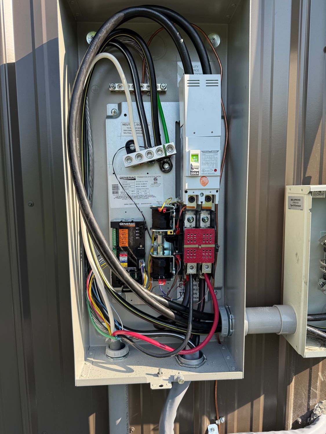 Stoneking Electric Image