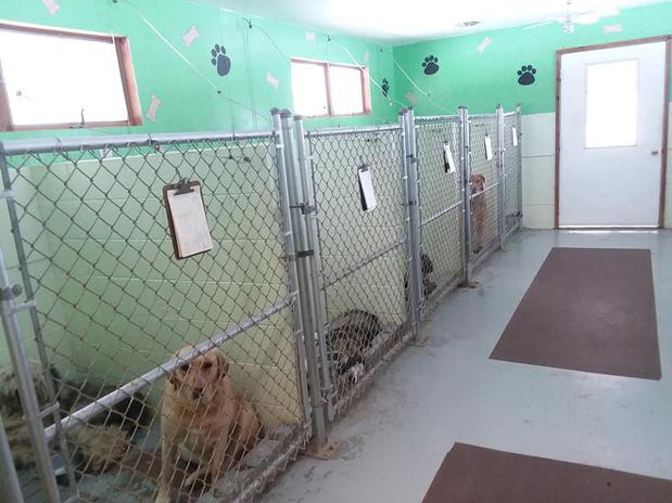 Images Kountry Kennels