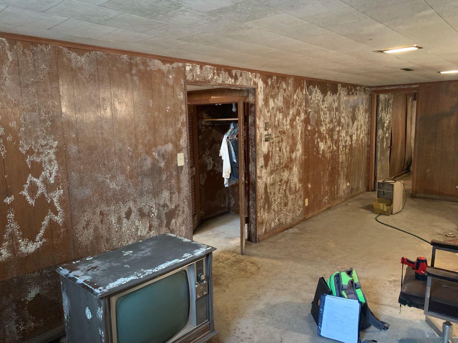 Mold Damage Home in Akron, Ohio.