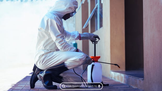 Images Pest Control Philadelphia