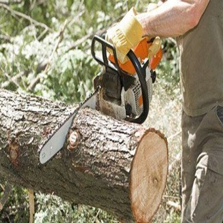 Images The Original Budget Tree Service