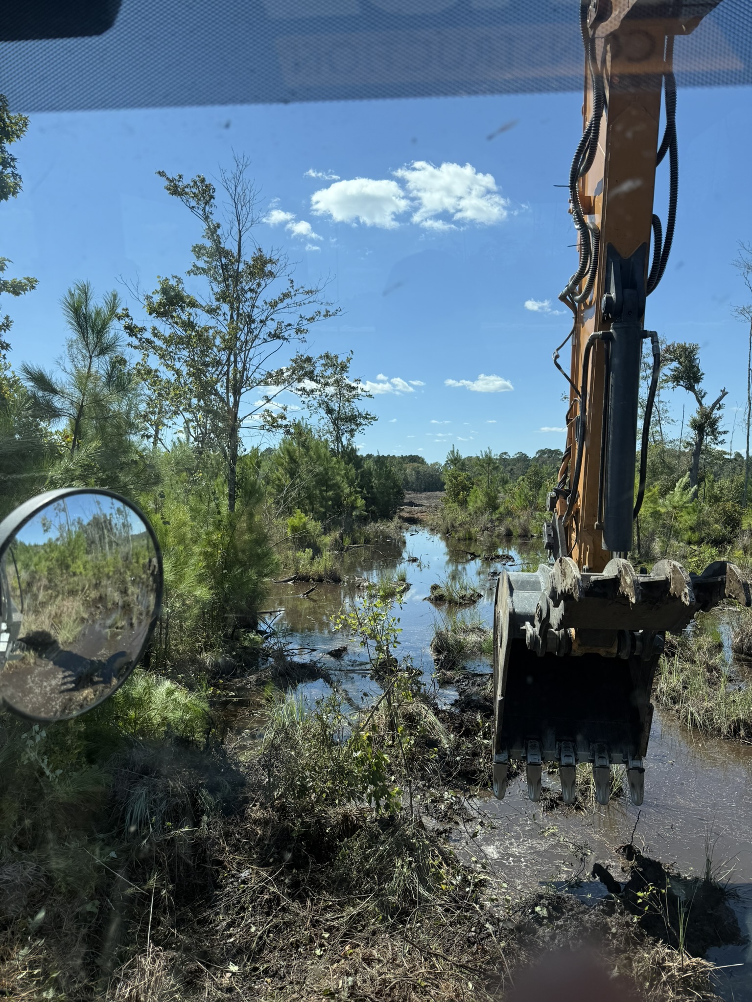 Photo of an excavator clearing brush and vegetation in a wet, overgrown area as part of land clearing or drainage improvement work.