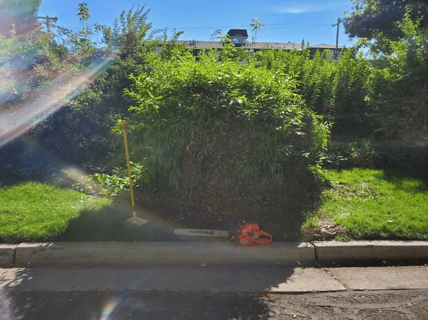 Images Utah Stump Grinding LLC