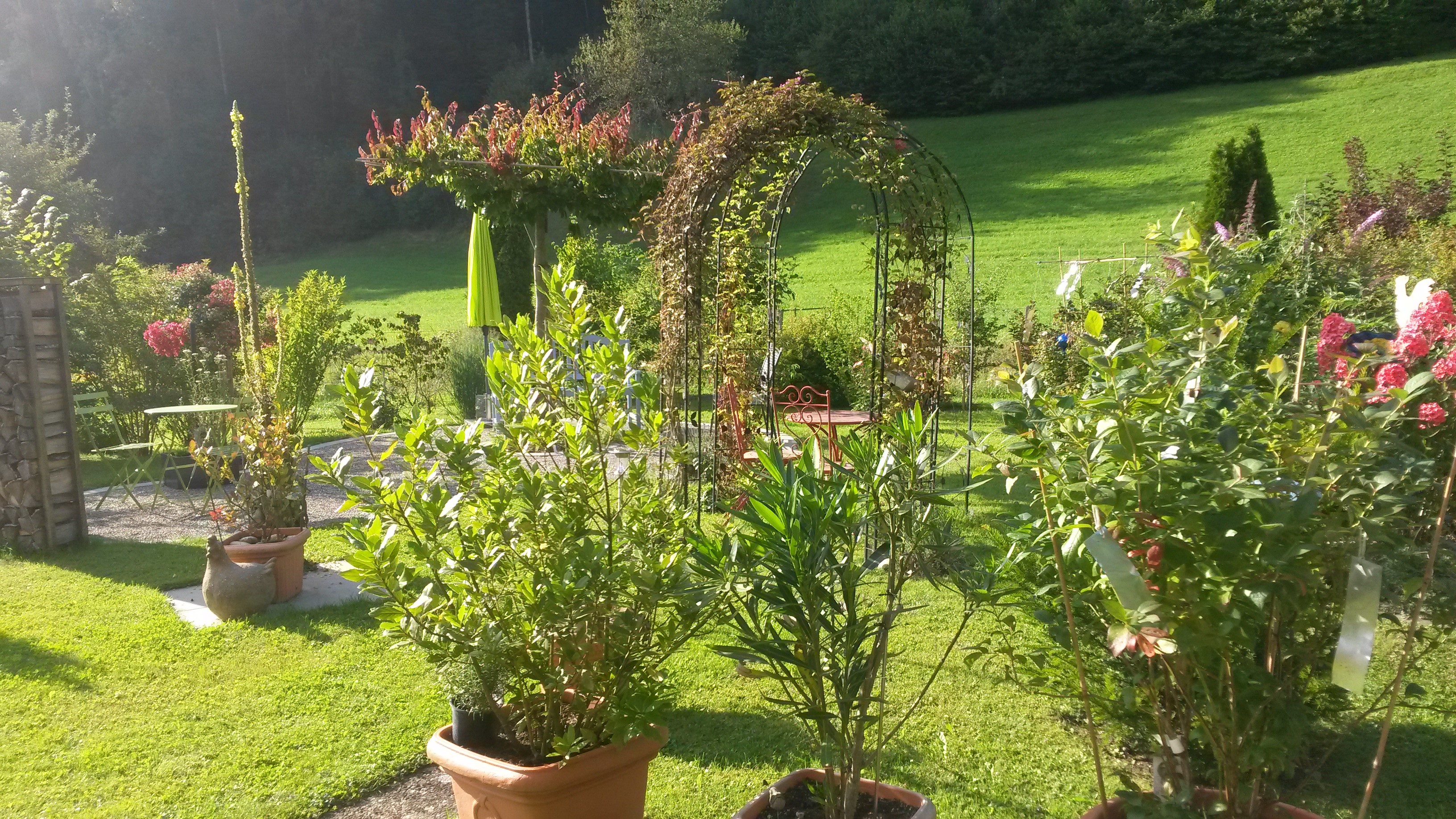 Der Gartenflüsterer, Blitterswilerstrasse 51 in Saland