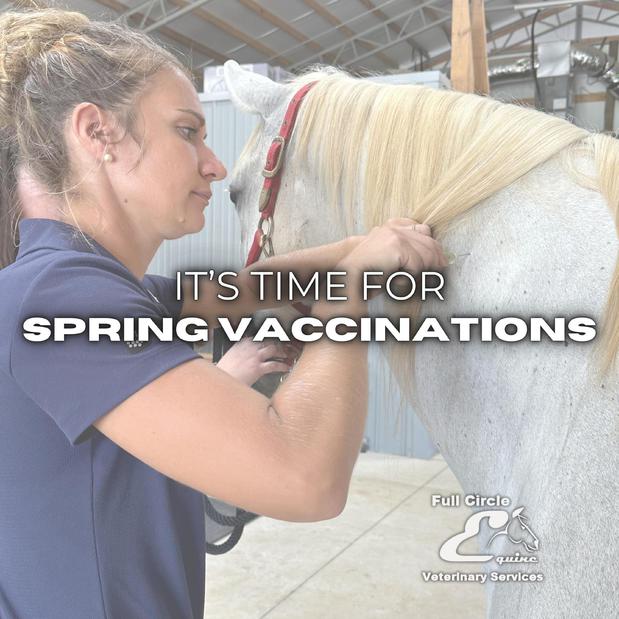 Images FULL CIRCLE EQUINE VETERINARY SERVICES