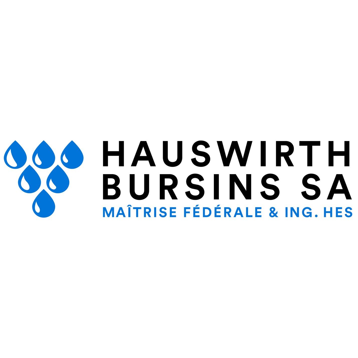 Hauswirth Bursins SA Logo