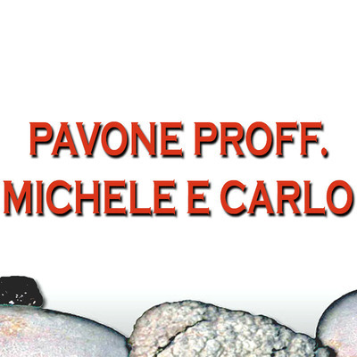 Pavone Prof. Carlo - Urologist - Palermo - 331 199 9990 Italy | ShowMeLocal.com