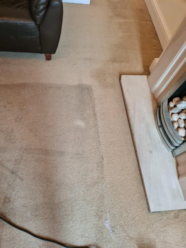 Images CASE Carpet Cleaning