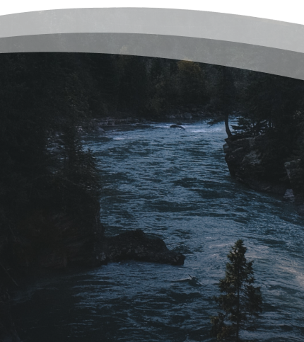 A rushing river in a forest.