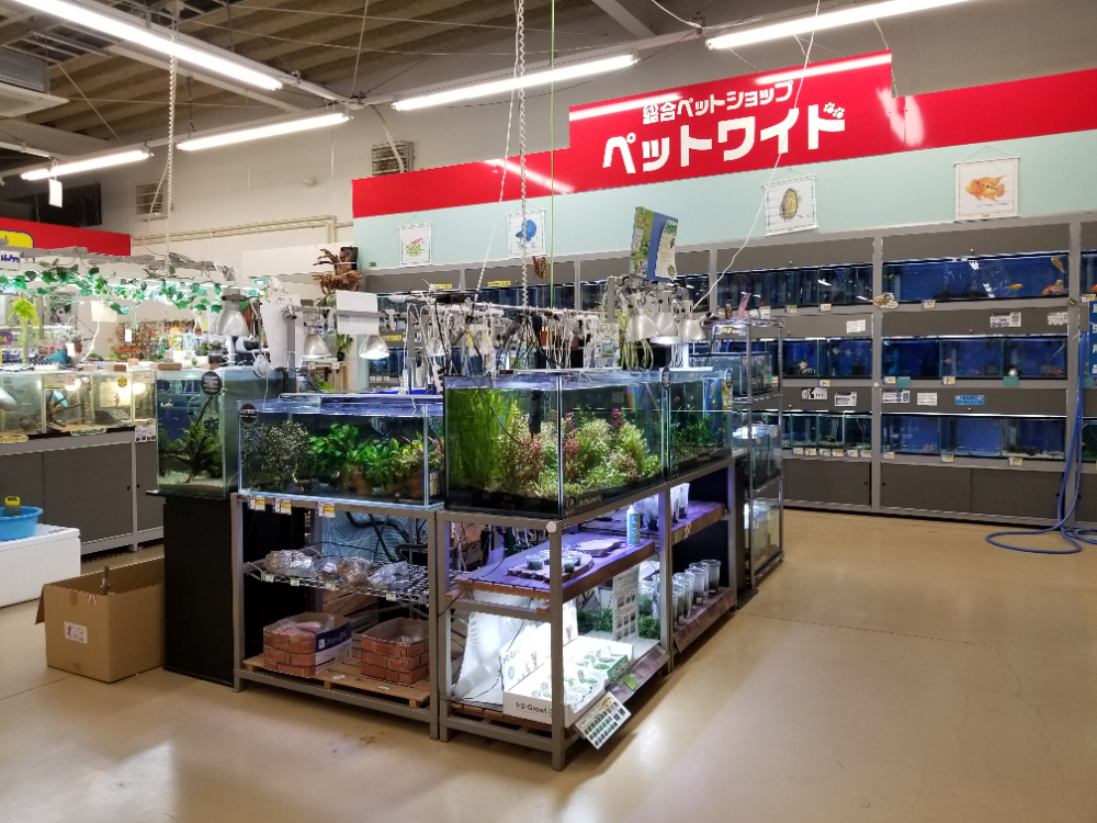 Images ペットワイド溝陸店