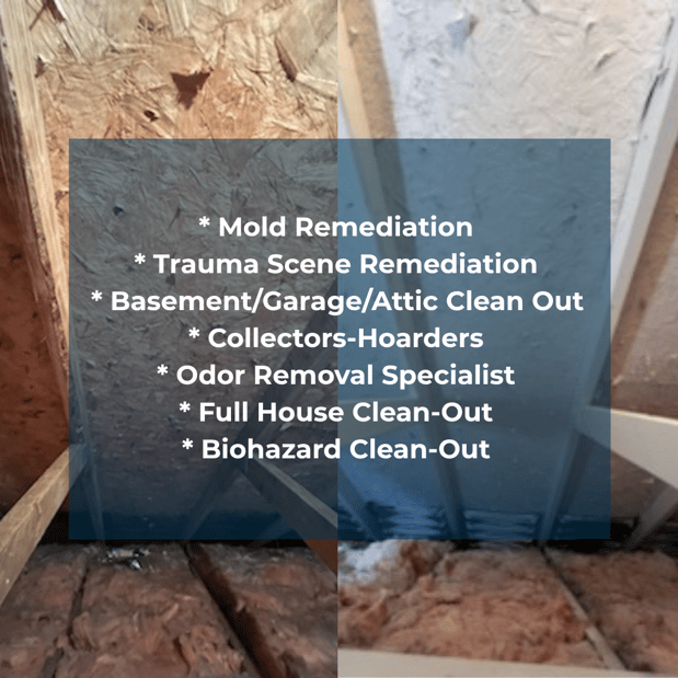 Images Quality Mold Remediation LLC
