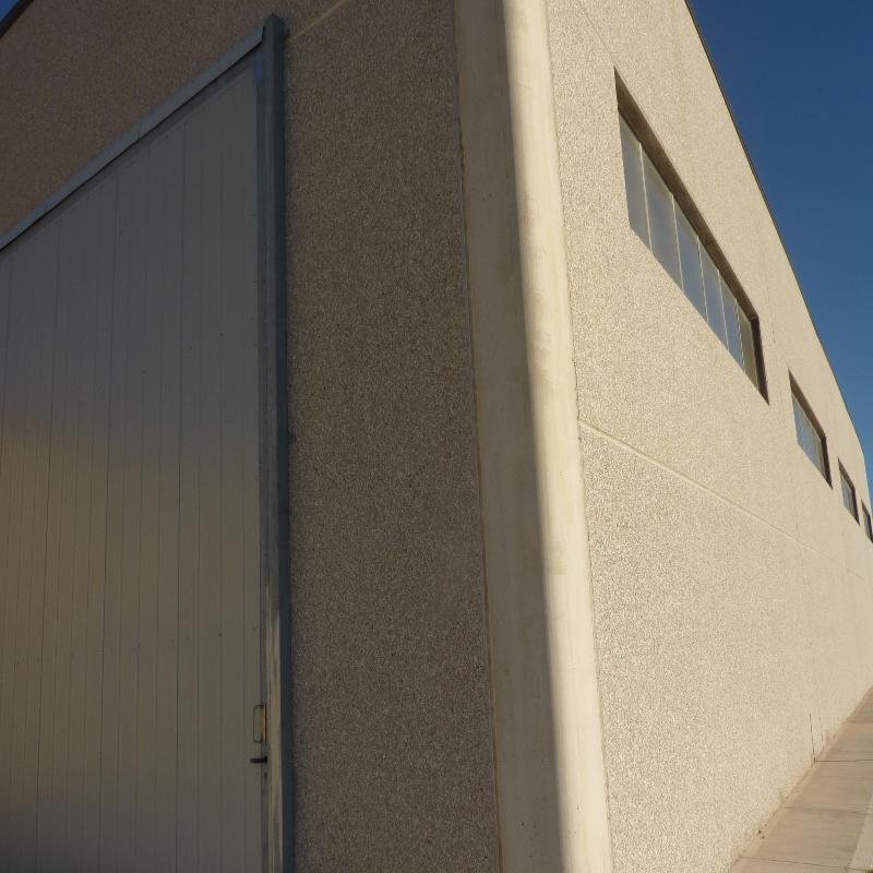 Images Gibbons Sarda