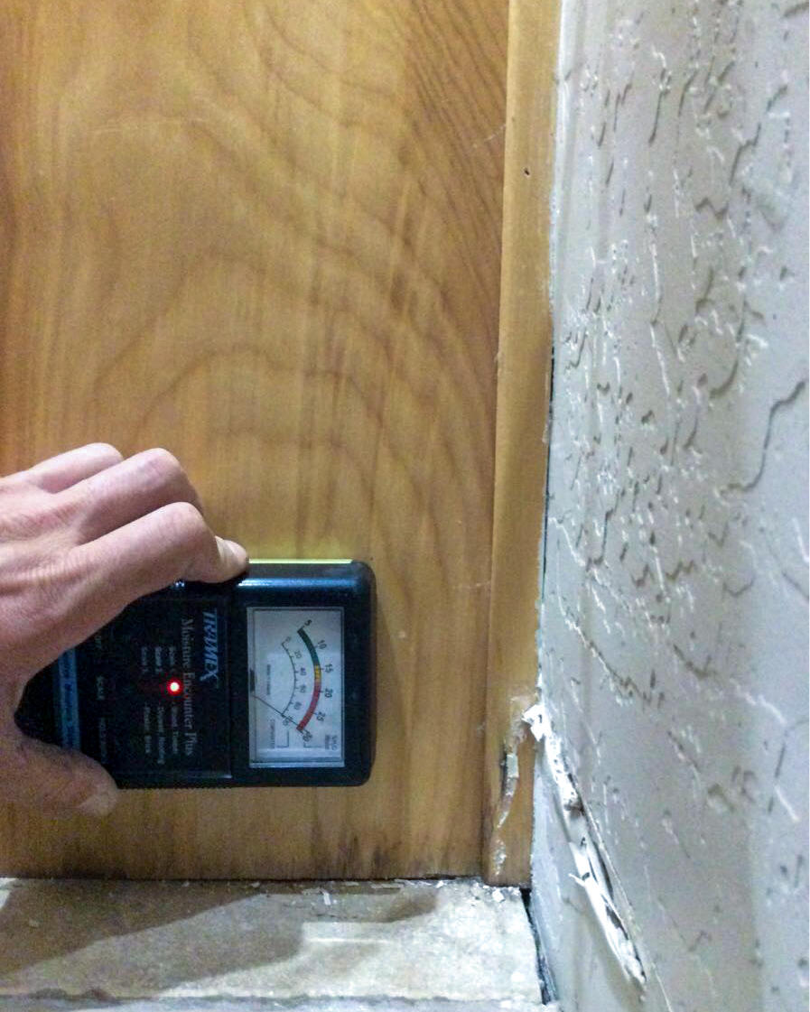 If you have discovered mold in your home or business, our SERVPRO of Northwest Phoenix/Anthem team can inspect and assess your property