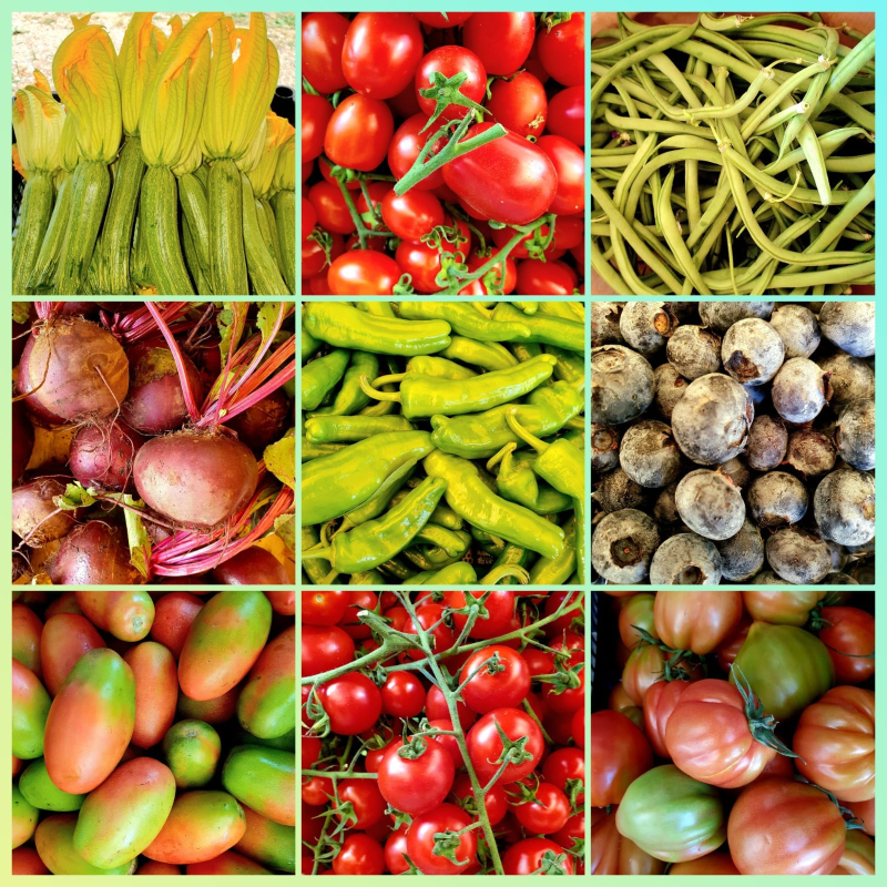 Images La Rapa Felice Azienda Agricola