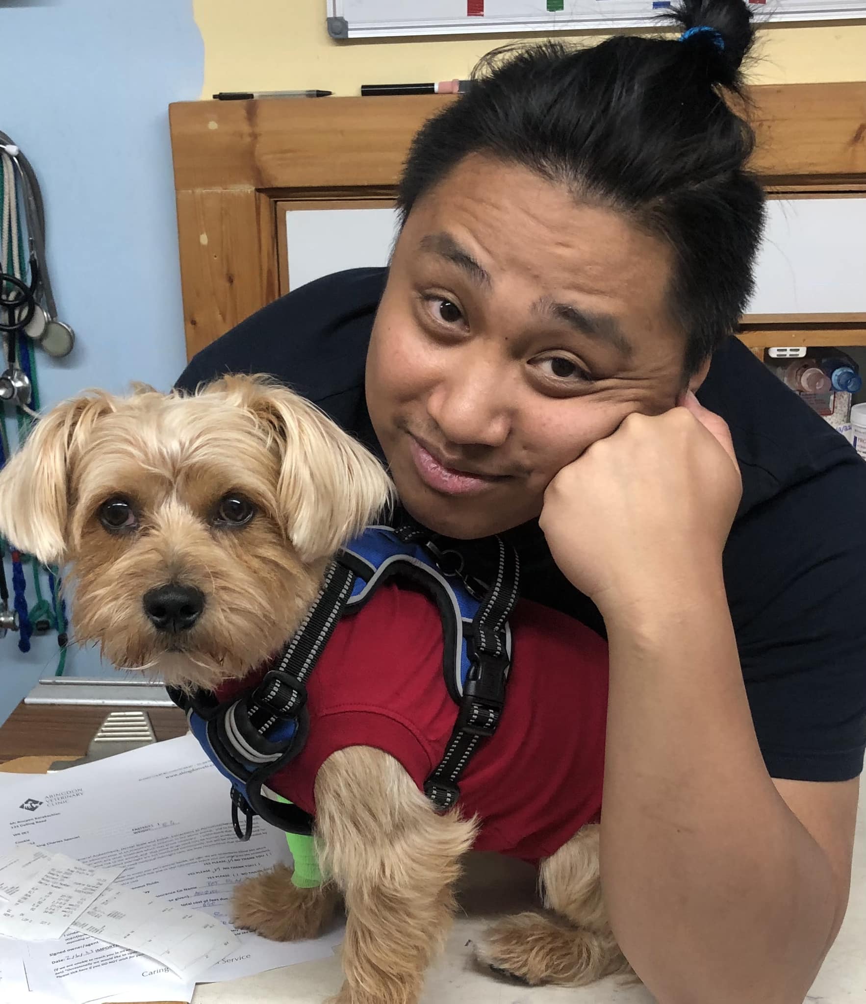 Abingdon Veterinary Clinic