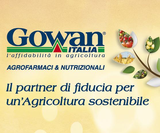 Images Gowan Italia