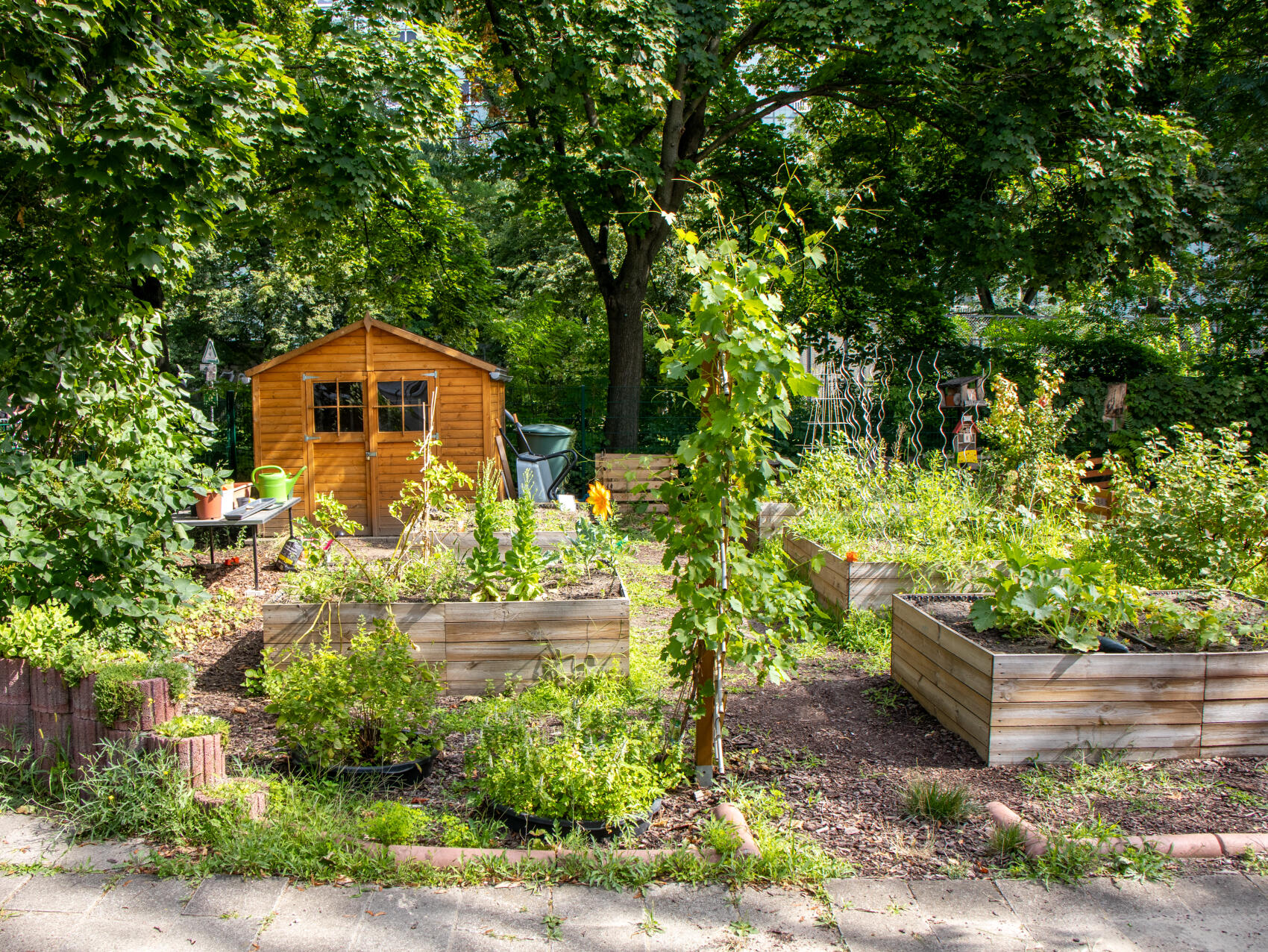 Fröbel-Kindergarten Traumzauberbaum, Mollstraße 7a in Berlin