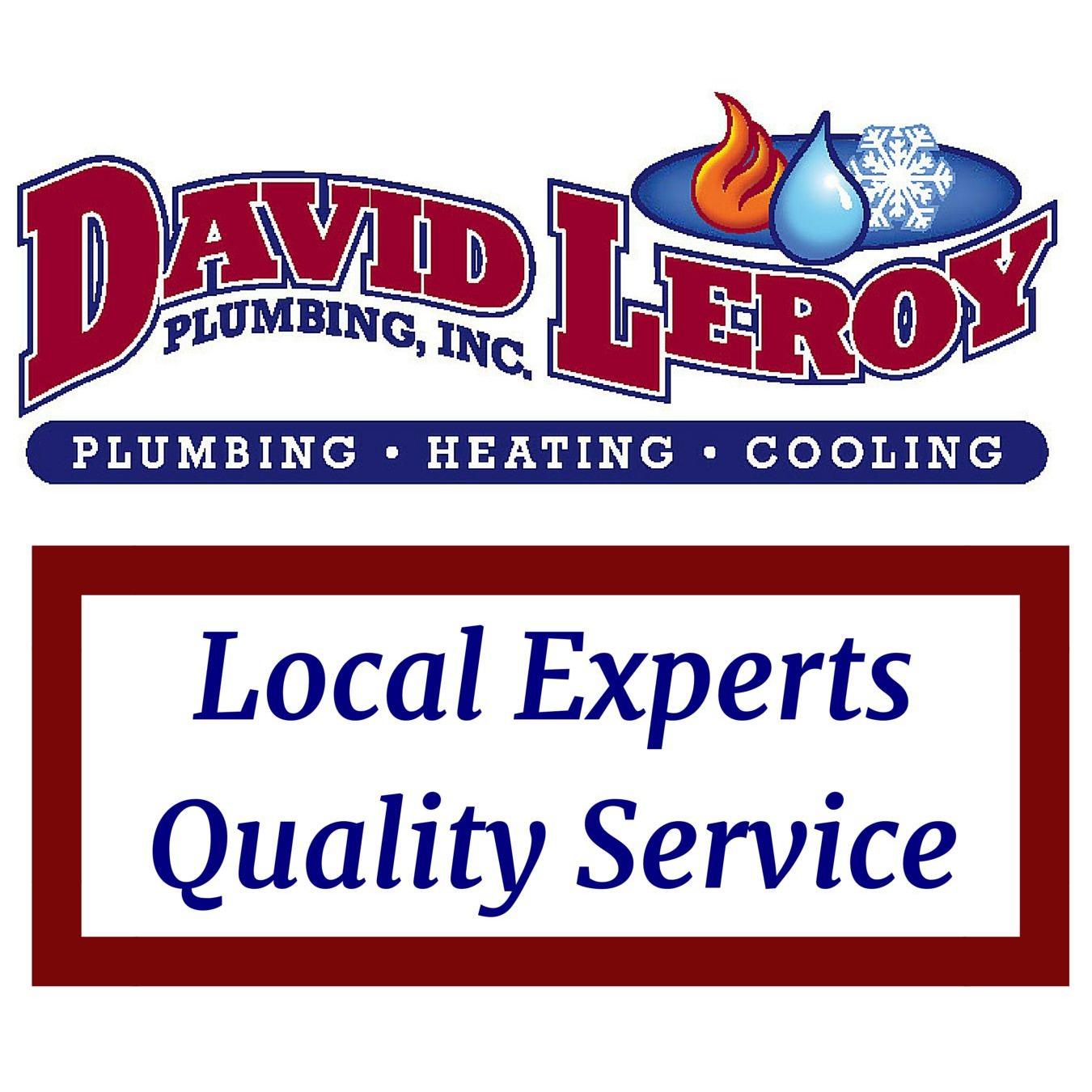 David Leroy Plumbing Inc. Logo