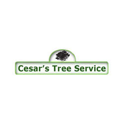 Cesar's Tree Service