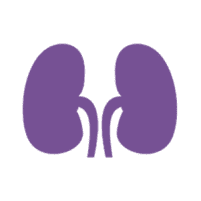 Consultants in Kidney Diseases Logo