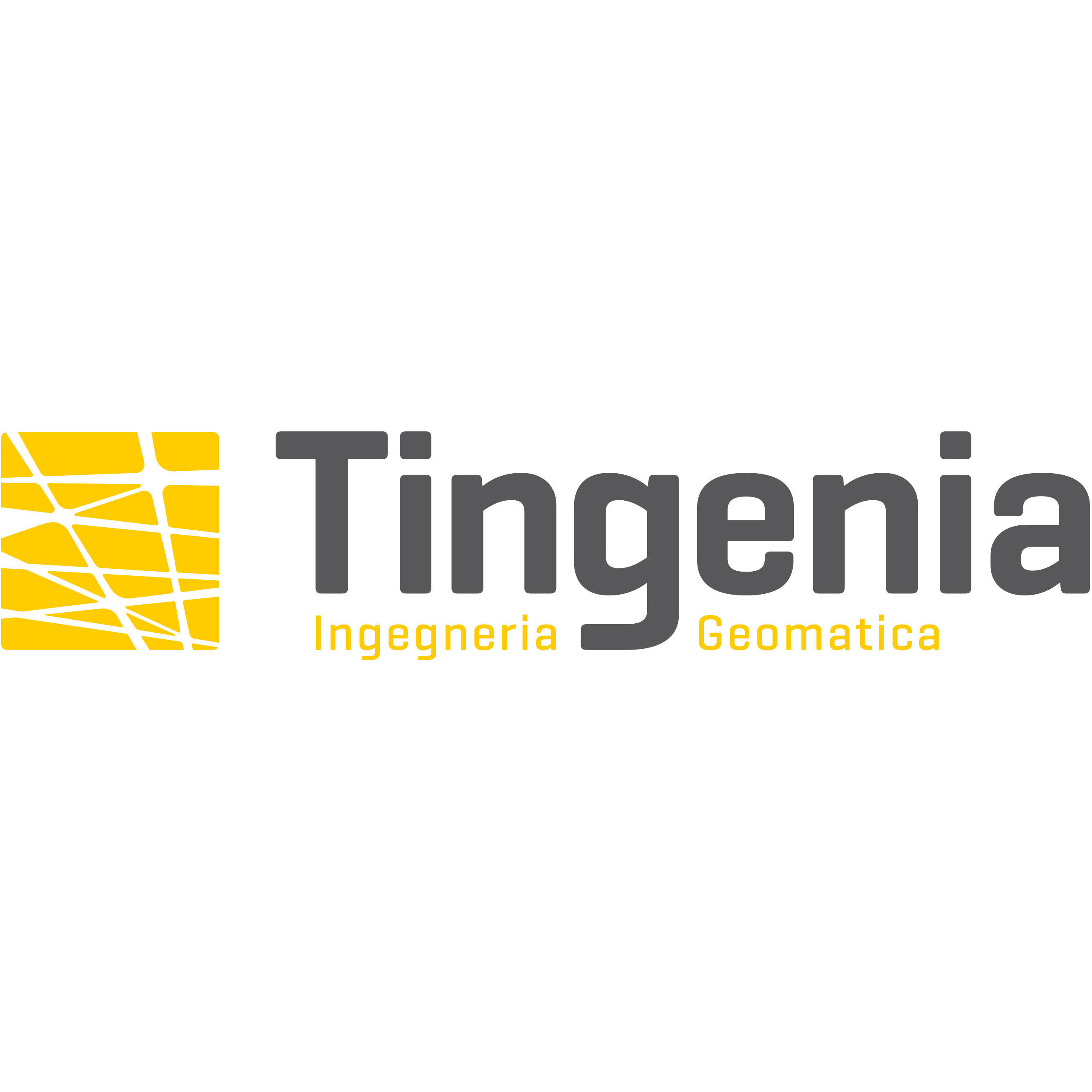 Tingenia ingegneria e geomatica SA Logo