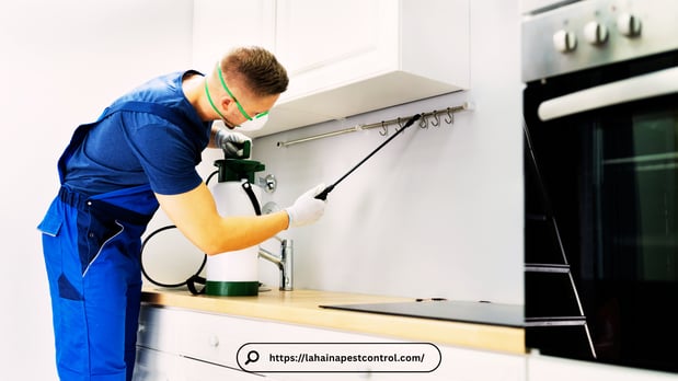 Images Pest Control Baltimore