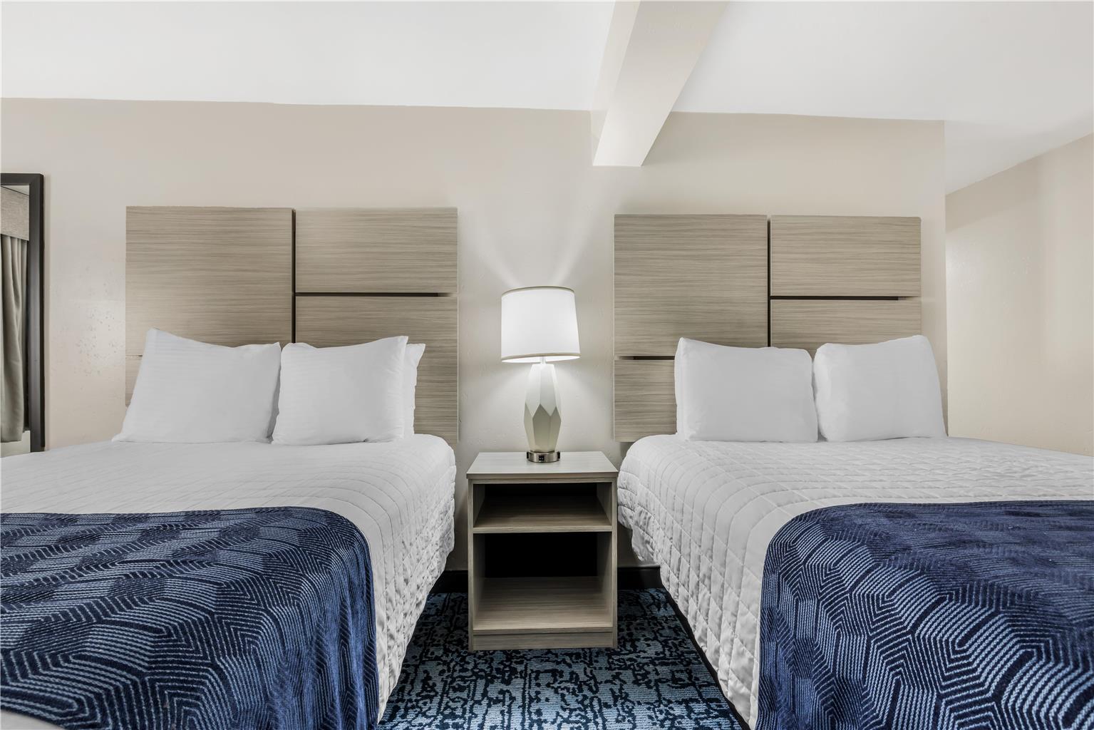 4 Bed Suite