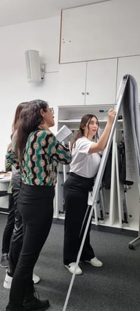 Images Comply Guru LLC