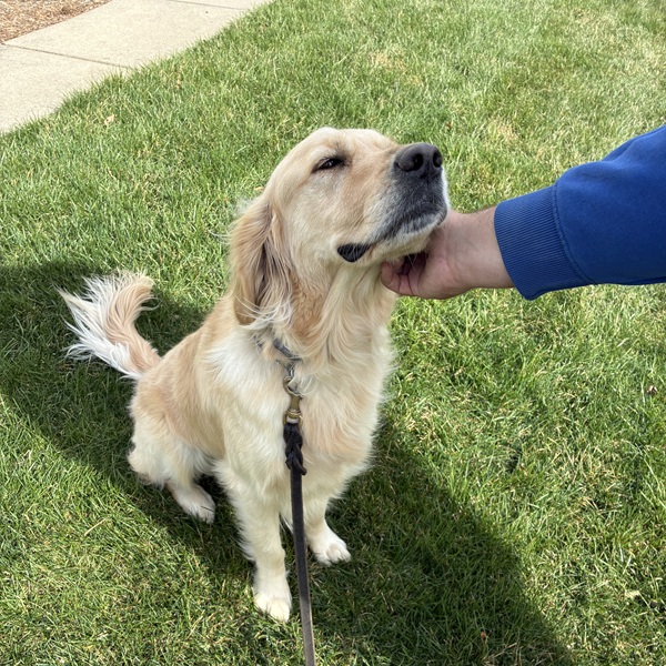Happy Invisible Fence® customer in Owen County, IN