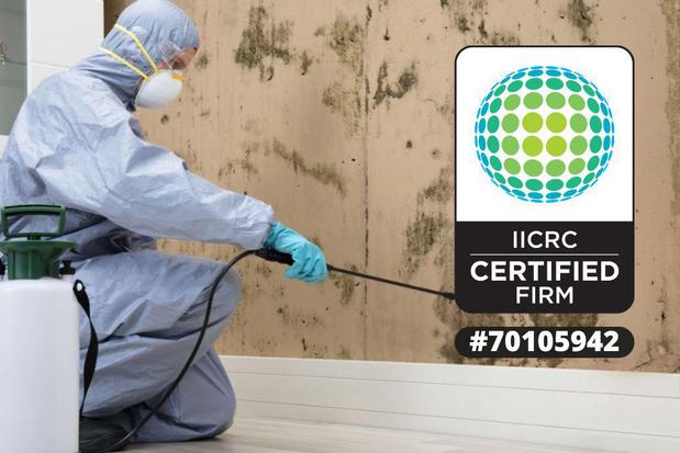Images First Response Restoration, Water Damage Minneapolis Specialist