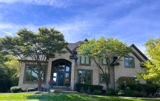 Images Martin Tree Service