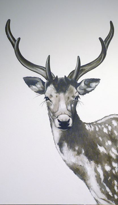 Dekorative Wand- und Oberflaechengestaltung Alexandra Fabisch, Am Stuck 25 in Würzburg